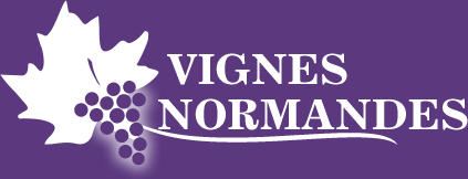 Vignes Normandes - Cave à Vins - Planche de Charcuterie et Fromages